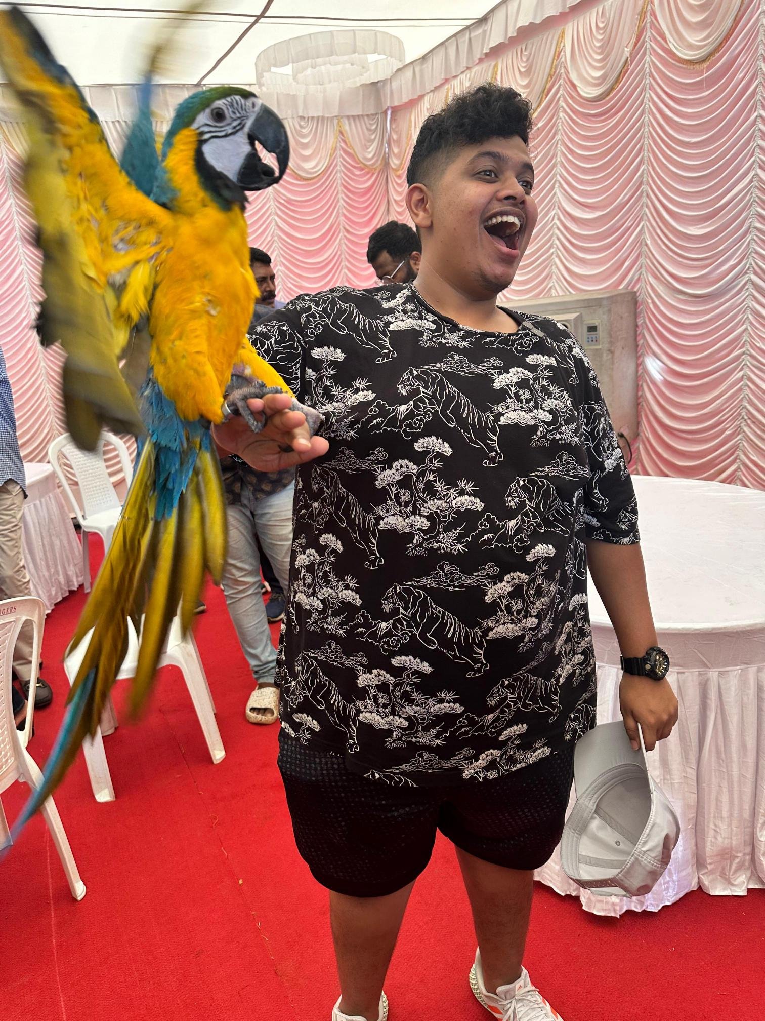 Contact Chennai pet shop for buying dogs and pet
supplies