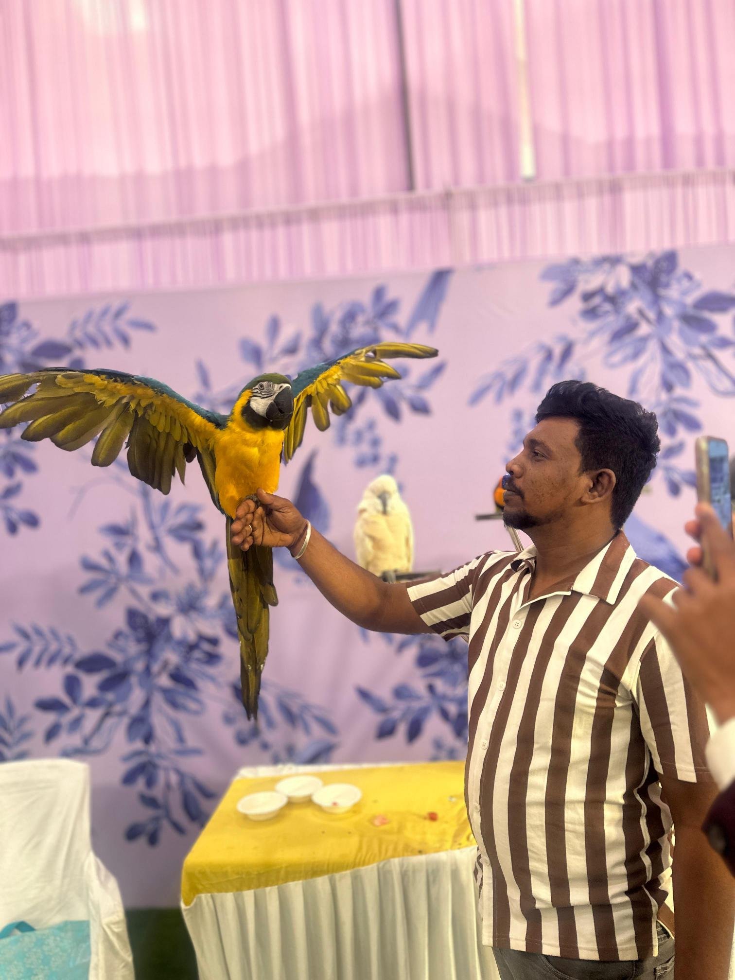 Inside view of best pet shop in Chennai with
dogs and accessories