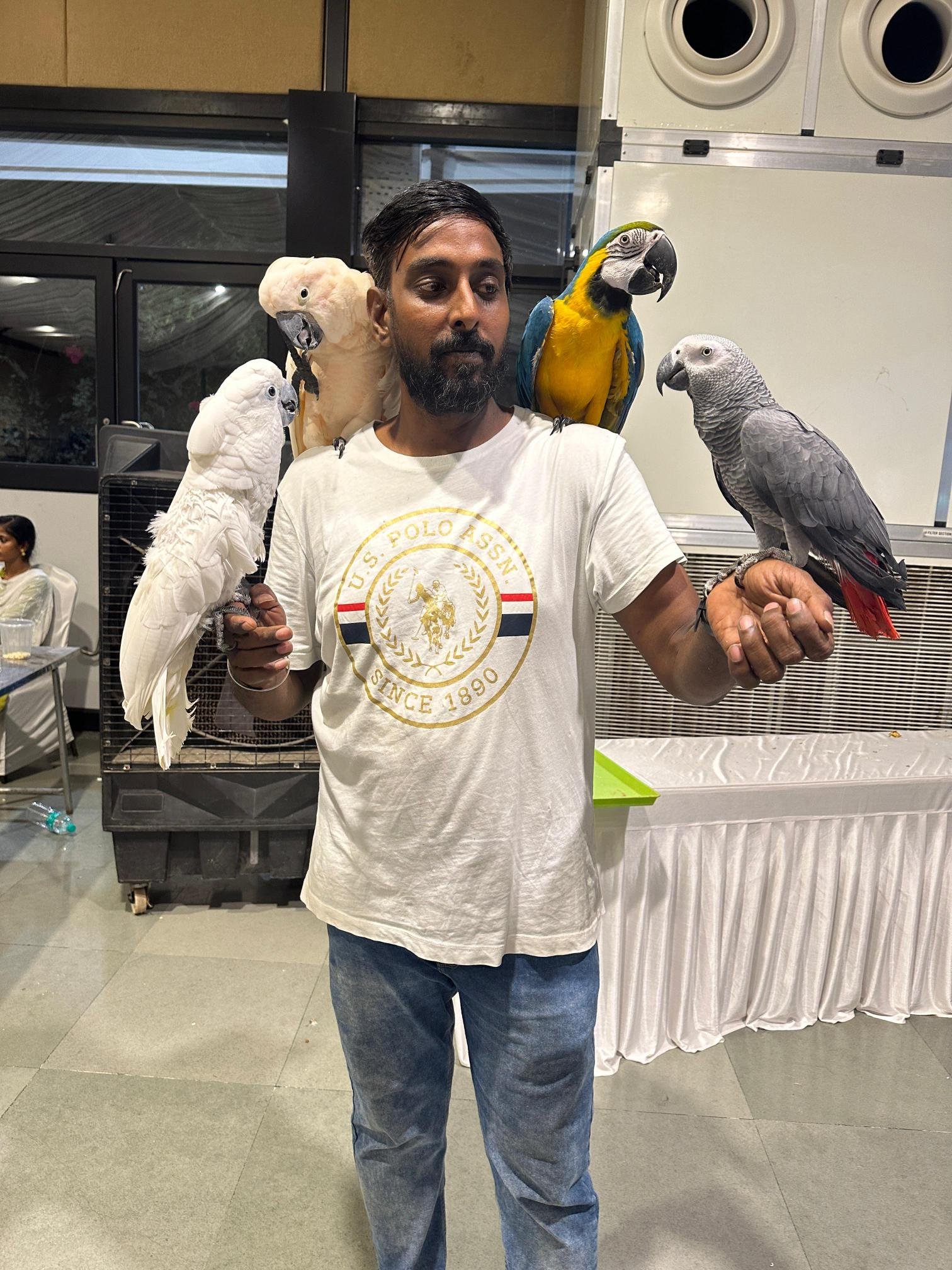 Dog food and toys in Chennai for all breeds