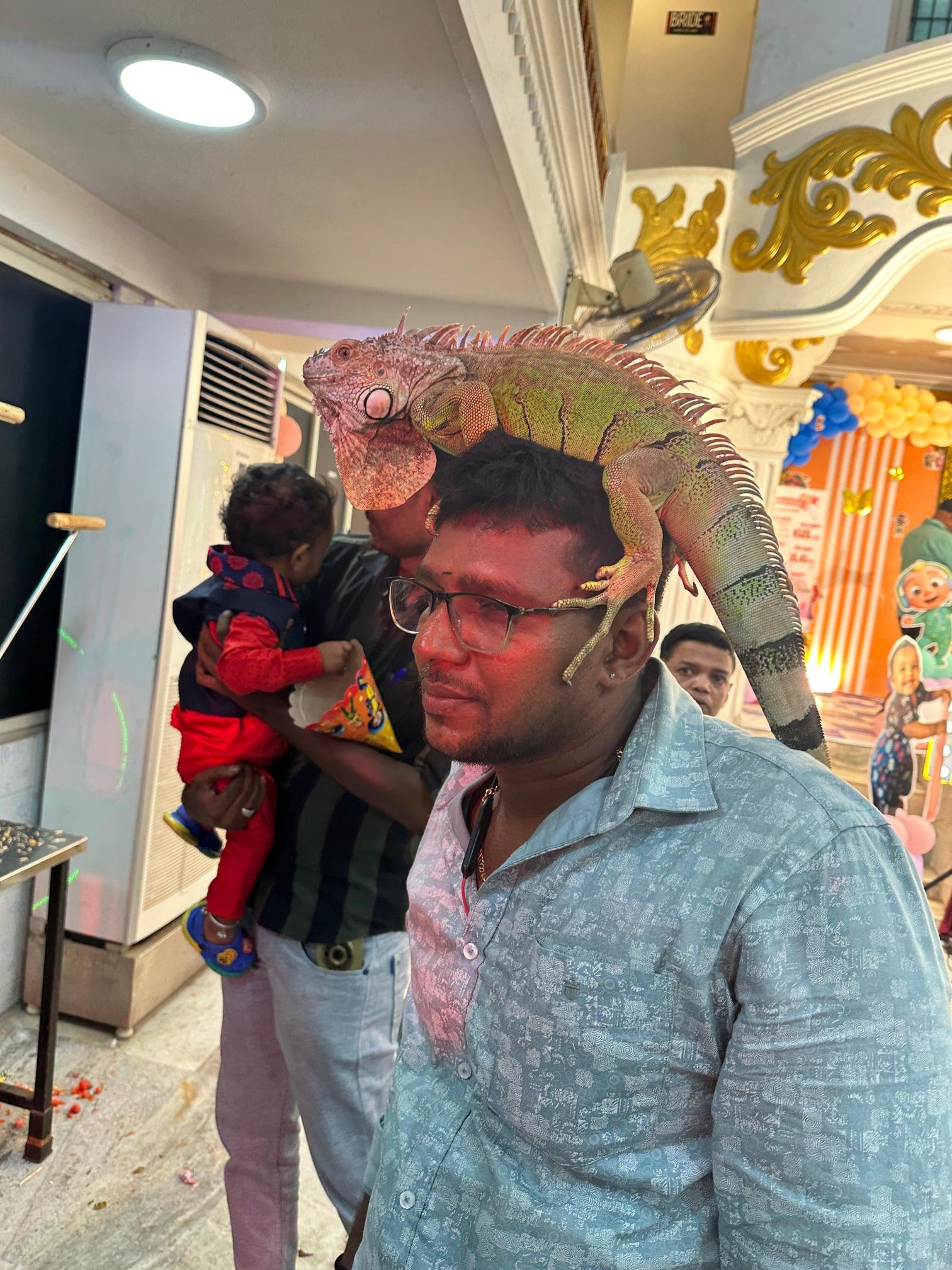 Labrador puppy for sale in Chennai with best
price