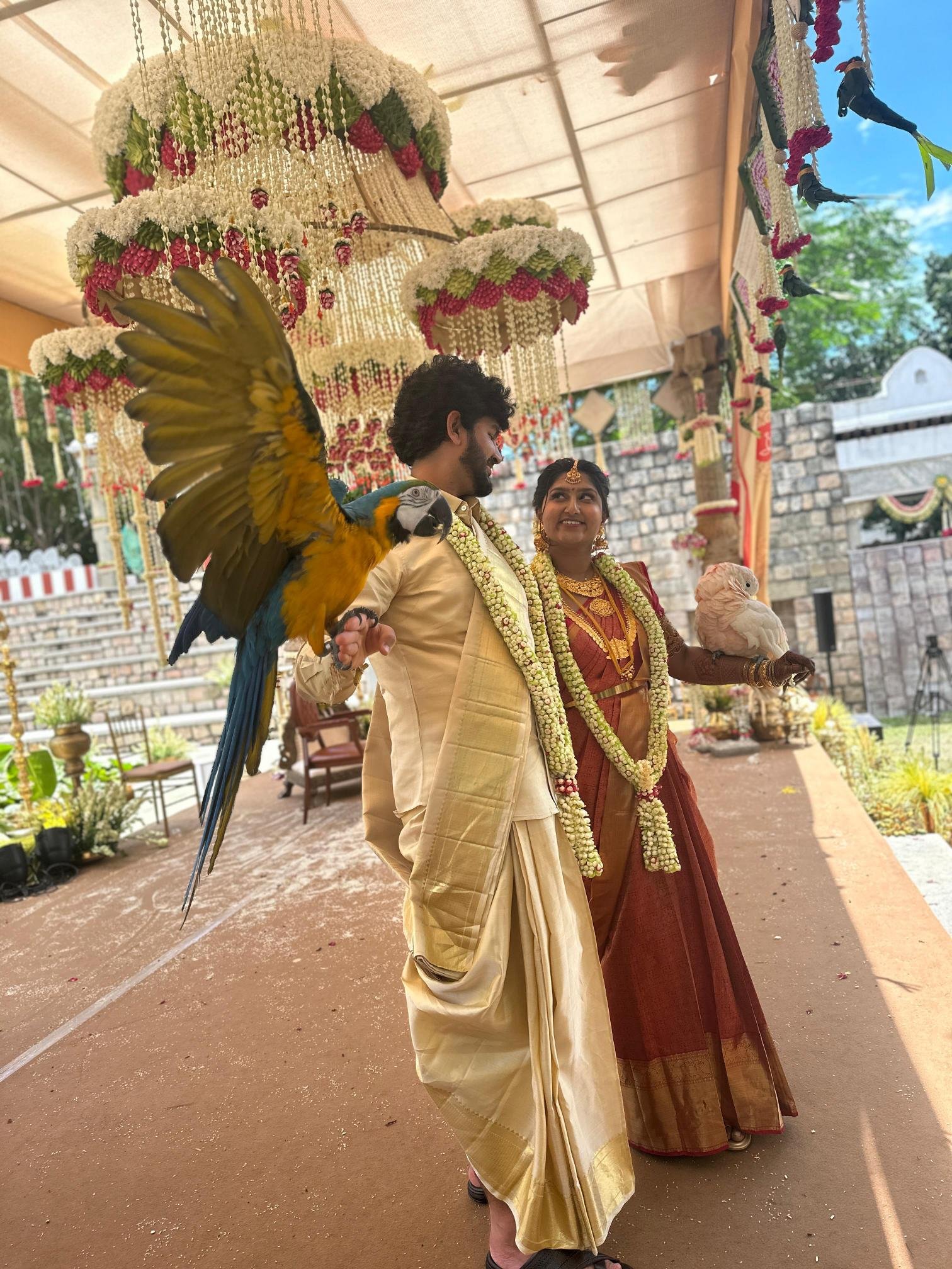 Puppies for sale in Chennai at best pet shop