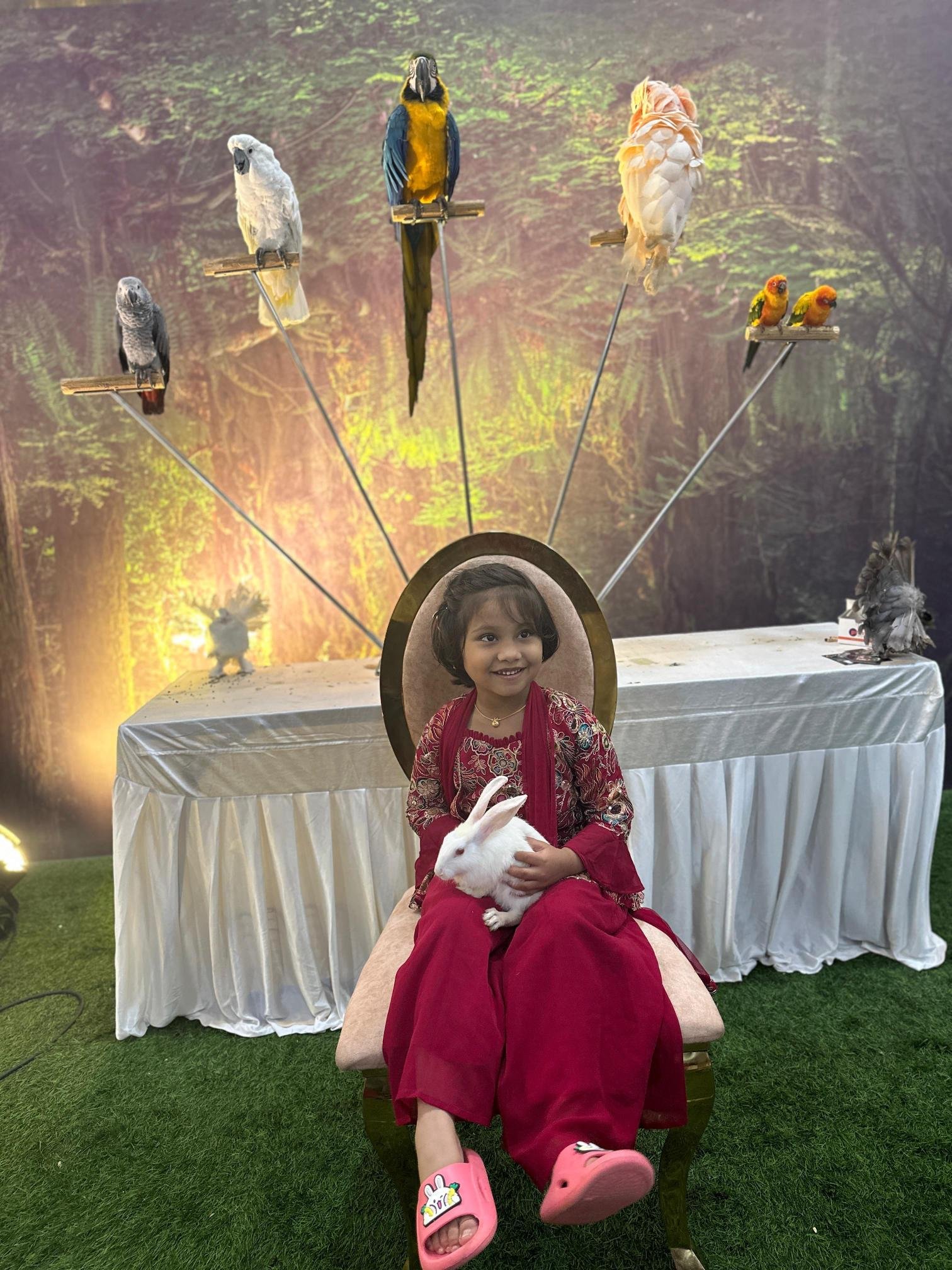 Puppies for sale in Chennai at best pet shop