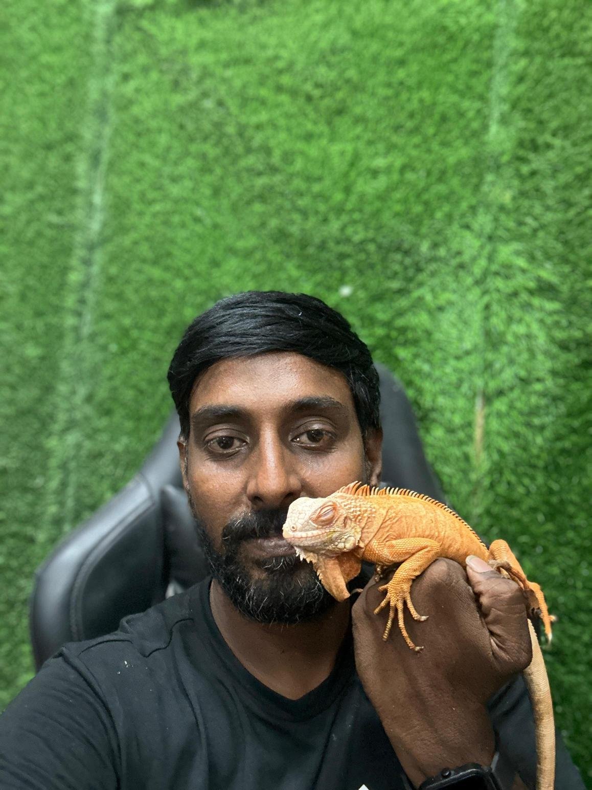 Labrador puppy for sale in Chennai with best
price