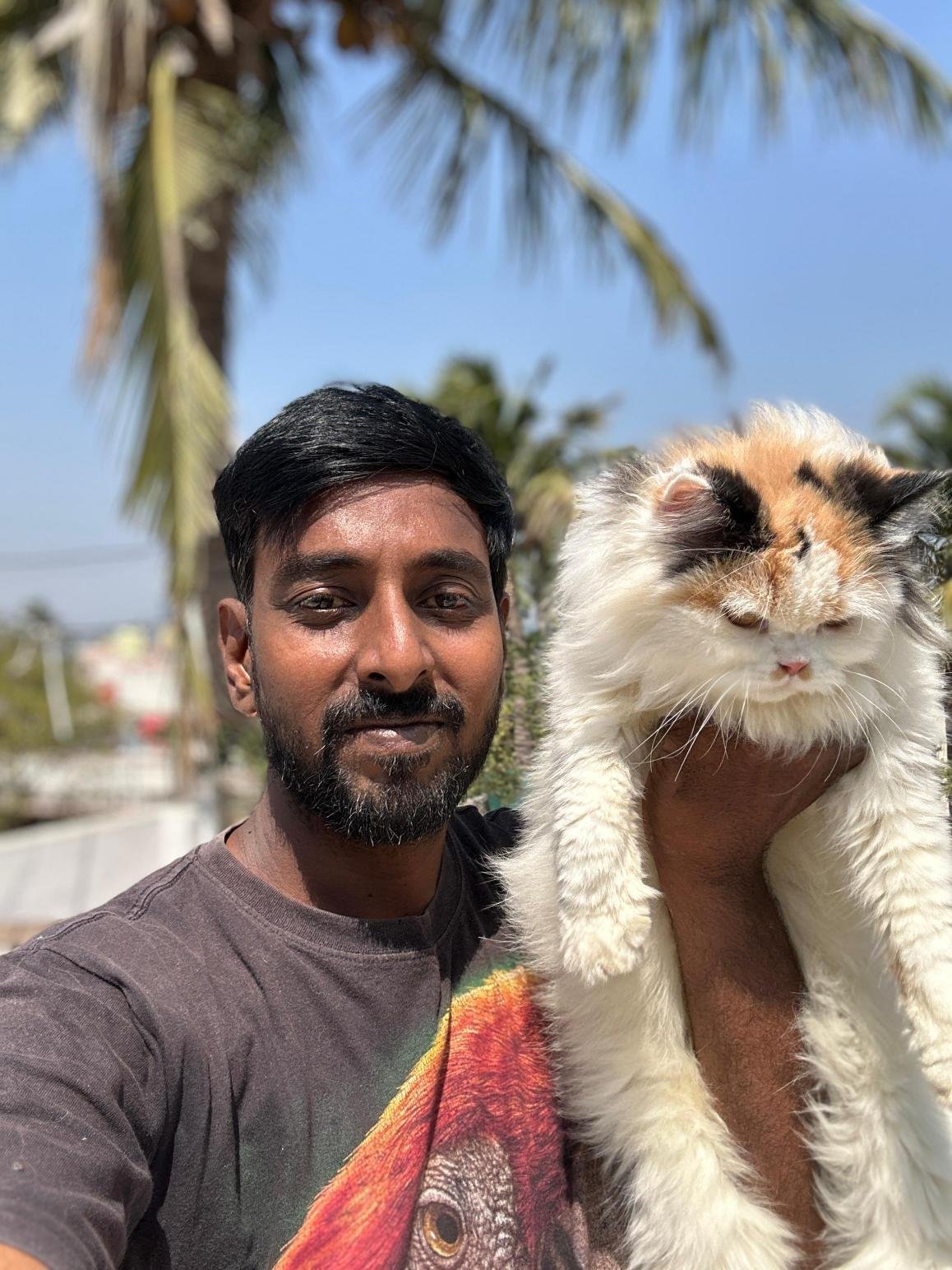 Buy pet dogs in Chennai with healthy puppies for
sale