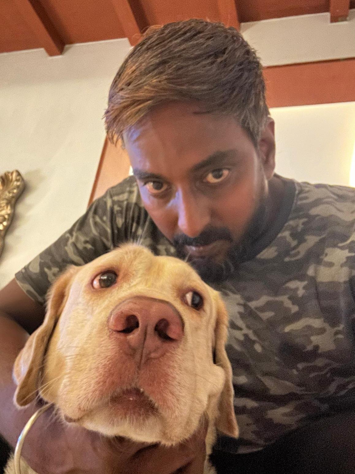 Puppies for sale in Chennai at best pet shop