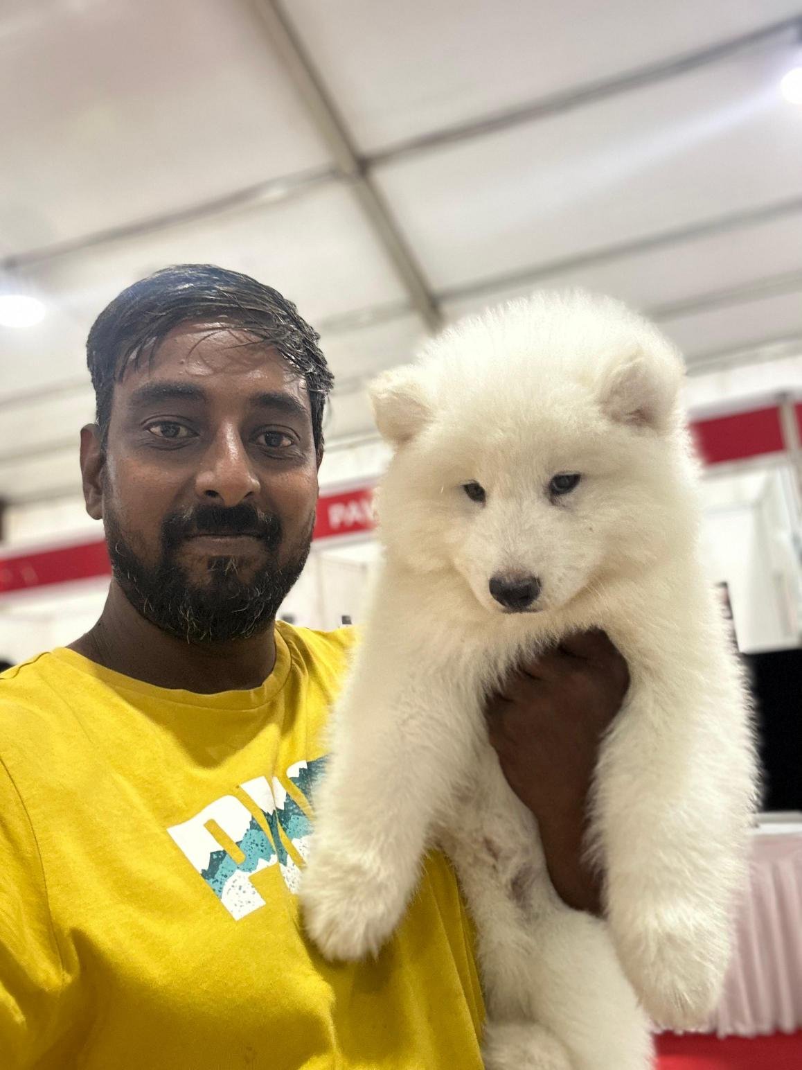 Puppies for sale in Chennai at best pet shop