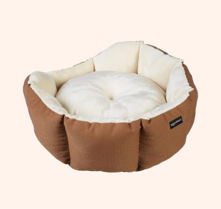 Best pet shop in Chennai for dogs and puppies