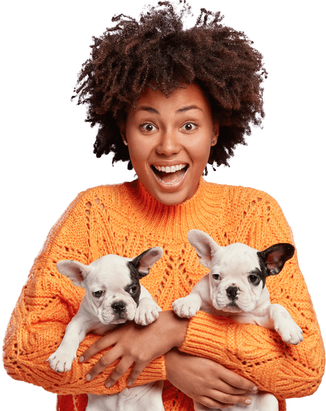 Best pet shop in Chennai for dogs and puppies